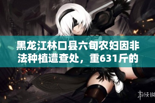 黑龙江林口县六旬农妇因非法种植遭查处，重631斤的惊人数量