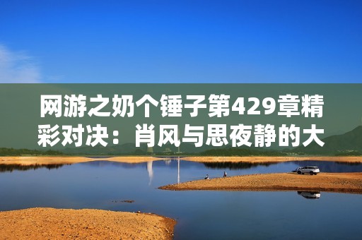 网游之奶个锤子第429章精彩对决：肖风与思夜静的大战