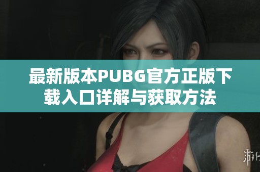 最新版本PUBG官方正版下载入口详解与获取方法