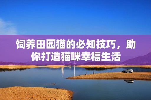 饲养田园猫的必知技巧，助你打造猫咪幸福生活