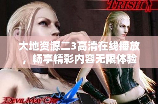 大地资源二3高清在线播放，畅享精彩内容无限体验