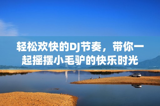 轻松欢快的DJ节奏，带你一起摇摆小毛驴的快乐时光