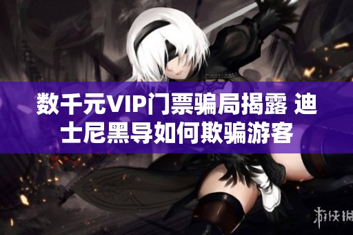 数千元VIP门票骗局揭露 迪士尼黑导如何欺骗游客