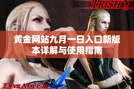黄金网站九月一日入口新版本详解与使用指南