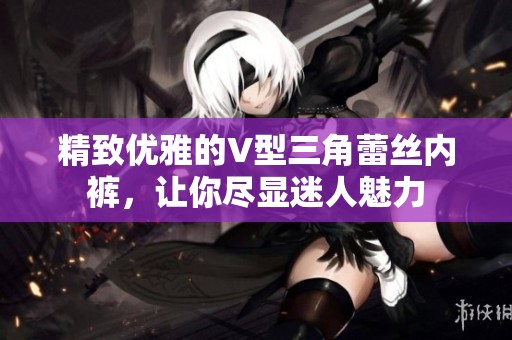 精致优雅的V型三角蕾丝内裤，让你尽显迷人魅力