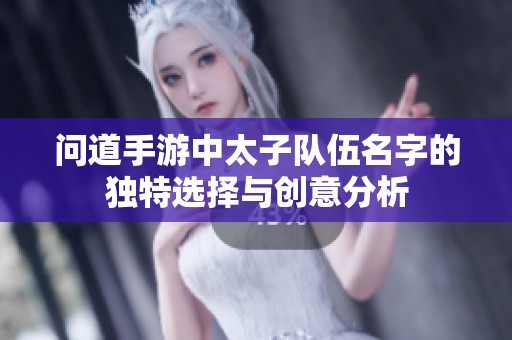 问道手游中太子队伍名字的独特选择与创意分析