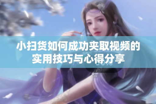 小扫货如何成功夹取视频的实用技巧与心得分享