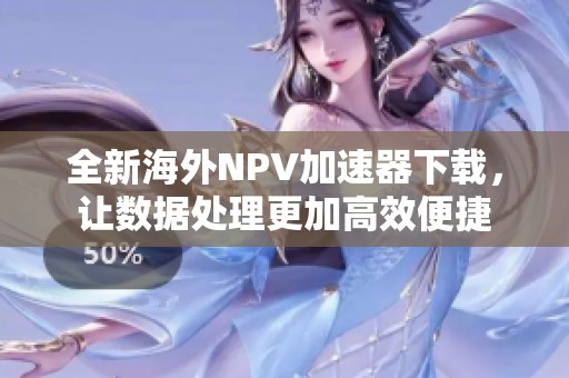 全新海外NPV加速器下载，让数据处理更加高效便捷