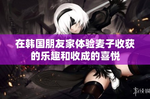 在韩国朋友家体验麦子收获的乐趣和收成的喜悦