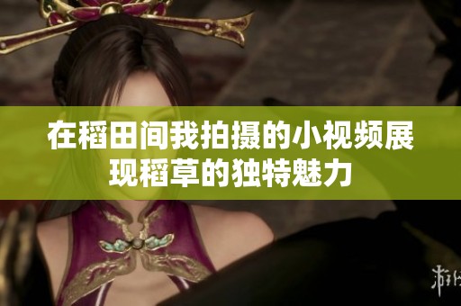 在稻田间我拍摄的小视频展现稻草的独特魅力