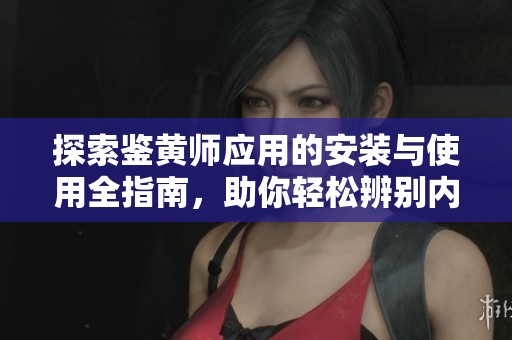 探索鉴黄师应用的安装与使用全指南，助你轻松辨别内容安全性