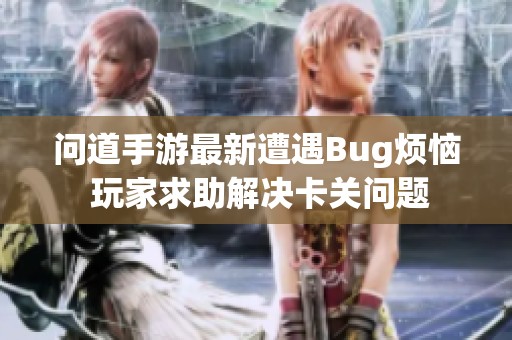问道手游最新遭遇Bug烦恼 玩家求助解决卡关问题