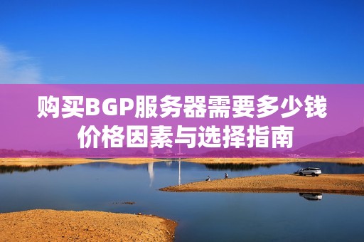 购买BGP服务器需要多少钱 价格因素与选择指南