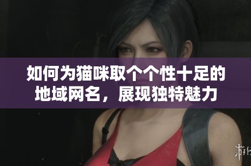 如何为猫咪取个个性十足的地域网名，展现独特魅力