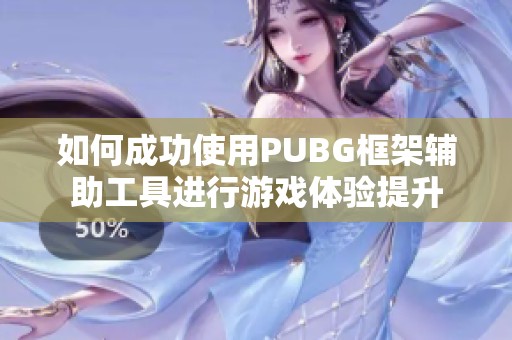 如何成功使用PUBG框架辅助工具进行游戏体验提升
