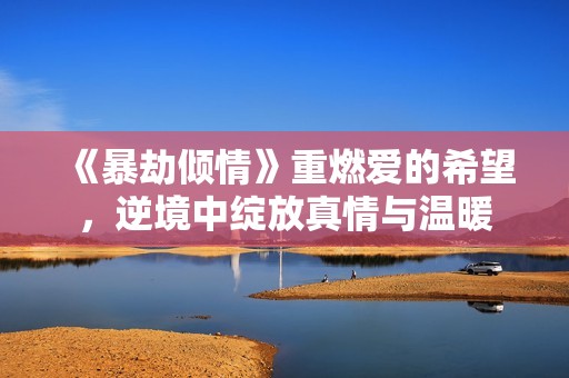 《暴劫倾情》重燃爱的希望，逆境中绽放真情与温暖