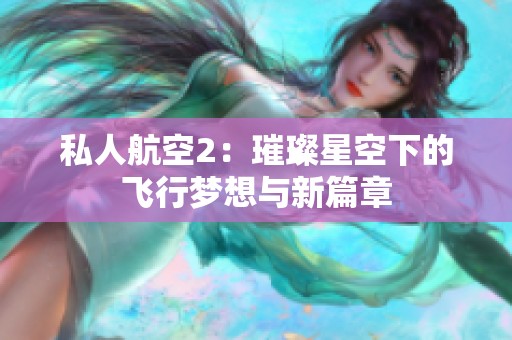 私人航空2：璀璨星空下的飞行梦想与新篇章