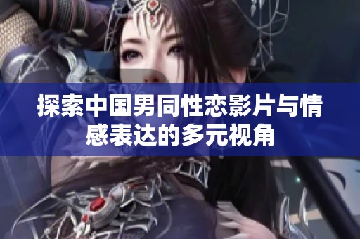 探索中国男同性恋影片与情感表达的多元视角