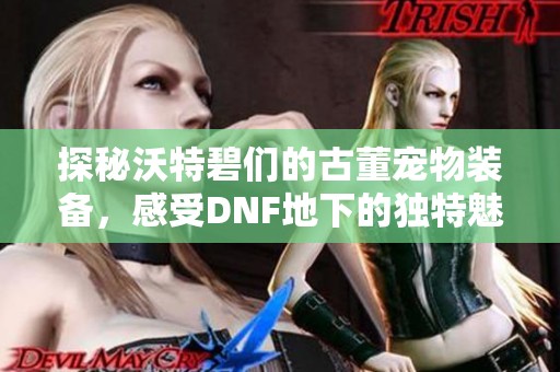 探秘沃特碧们的古董宠物装备，感受DNF地下的独特魅力