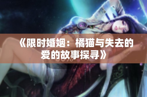 《限时婚姻：橘猫与失去的爱的故事探寻》