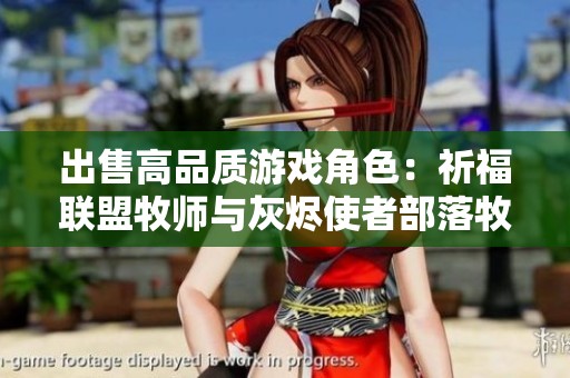 出售高品质游戏角色：祈福联盟牧师与灰烬使者部落牧师
