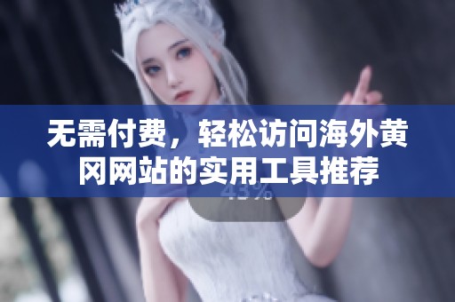 无需付费，轻松访问海外黄冈网站的实用工具推荐