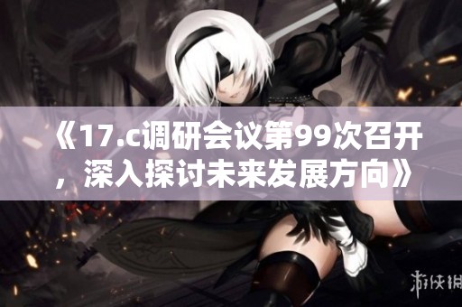 《17.c调研会议第99次召开，深入探讨未来发展方向》