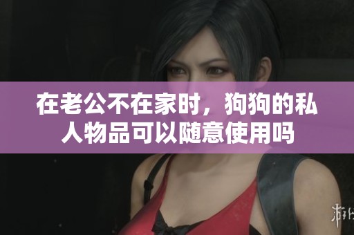 在老公不在家时，狗狗的私人物品可以随意使用吗