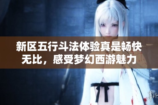 新区五行斗法体验真是畅快无比，感受梦幻西游魅力