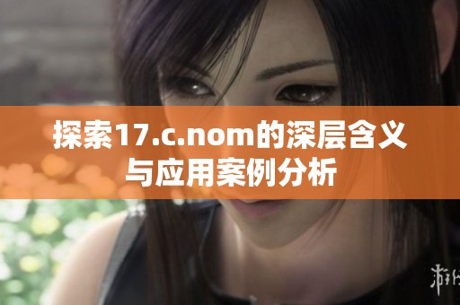 探索17.c.nom的深层含义与应用案例分析