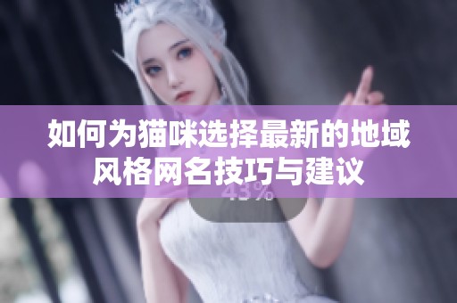 如何为猫咪选择最新的地域风格网名技巧与建议