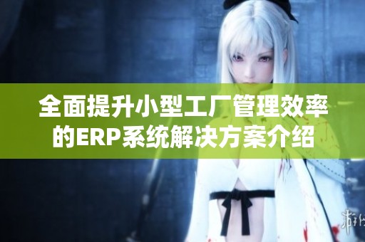 全面提升小型工厂管理效率的ERP系统解决方案介绍
