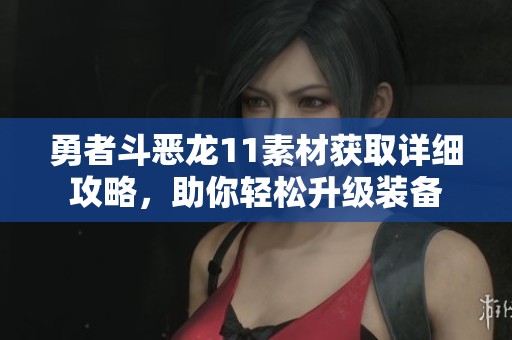 勇者斗恶龙11素材获取详细攻略，助你轻松升级装备