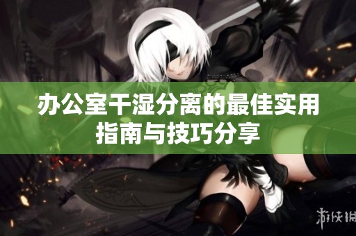办公室干湿分离的最佳实用指南与技巧分享