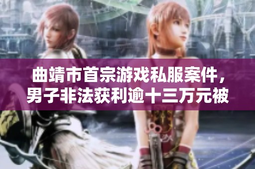 曲靖市首宗游戏私服案件，男子非法获利逾十三万元被刑拘