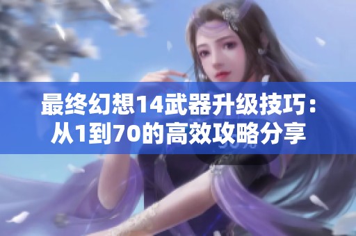 最终幻想14武器升级技巧：从1到70的高效攻略分享