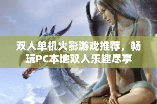 双人单机火影游戏推荐，畅玩PC本地双人乐趣尽享