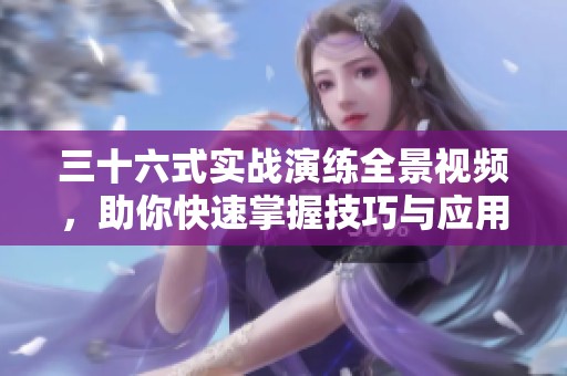 三十六式实战演练全景视频，助你快速掌握技巧与应用