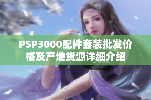 PSP3000配件套装批发价格及产地货源详细介绍