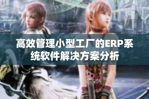 高效管理小型工厂的ERP系统软件解决方案分析