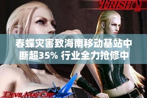 春蝶灾害致海南移动基站中断超35% 行业全力抢修中