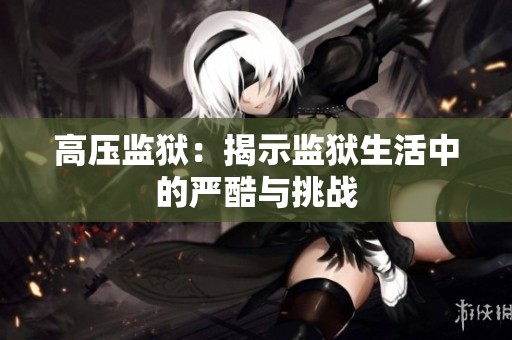 高压监狱：揭示监狱生活中的严酷与挑战