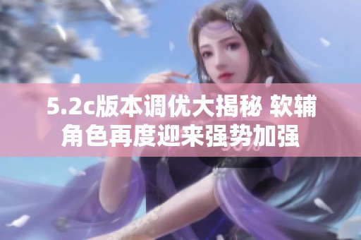 5.2c版本调优大揭秘 软辅角色再度迎来强势加强