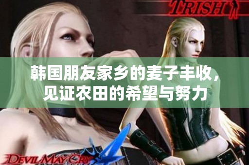 韩国朋友家乡的麦子丰收，见证农田的希望与努力