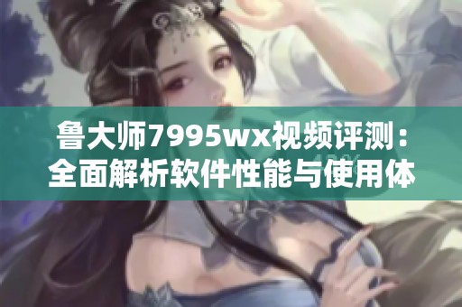 鲁大师7995wx视频评测：全面解析软件性能与使用体验
