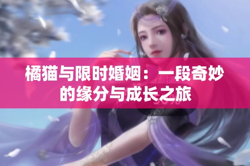 橘猫与限时婚姻：一段奇妙的缘分与成长之旅