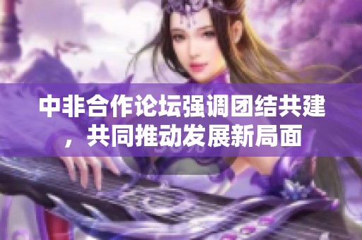 中非合作论坛强调团结共建，共同推动发展新局面