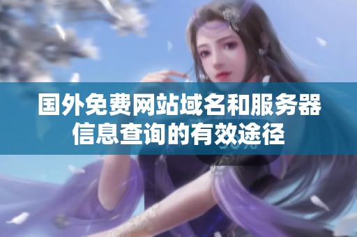 国外免费网站域名和服务器信息查询的有效途径