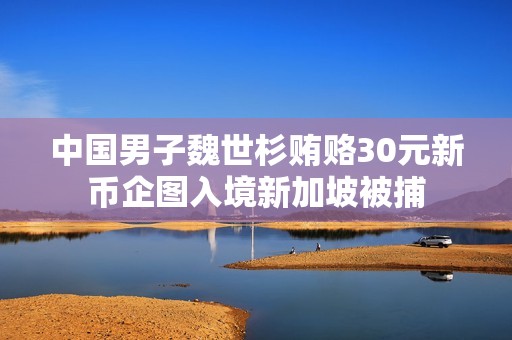 中国男子魏世杉贿赂30元新币企图入境新加坡被捕