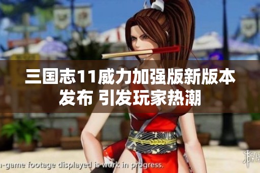三国志11威力加强版新版本发布 引发玩家热潮